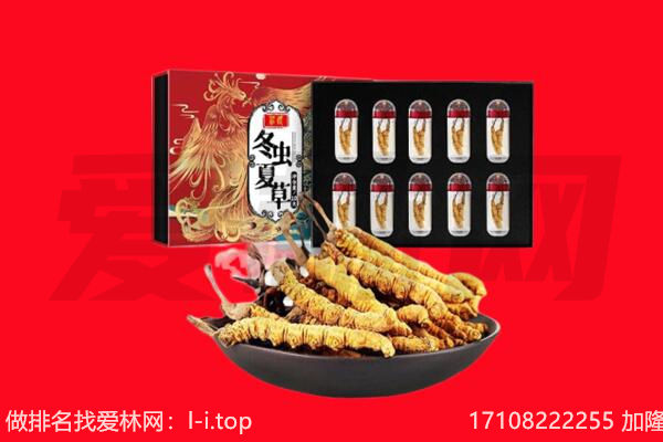 龙文区回收虫草.jpg